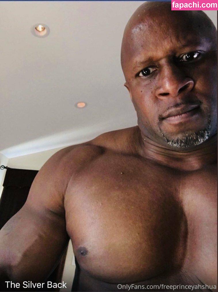 freeprinceyahshua / silverbackprince leaked nude photo #0013 from OnlyFans/Patreon