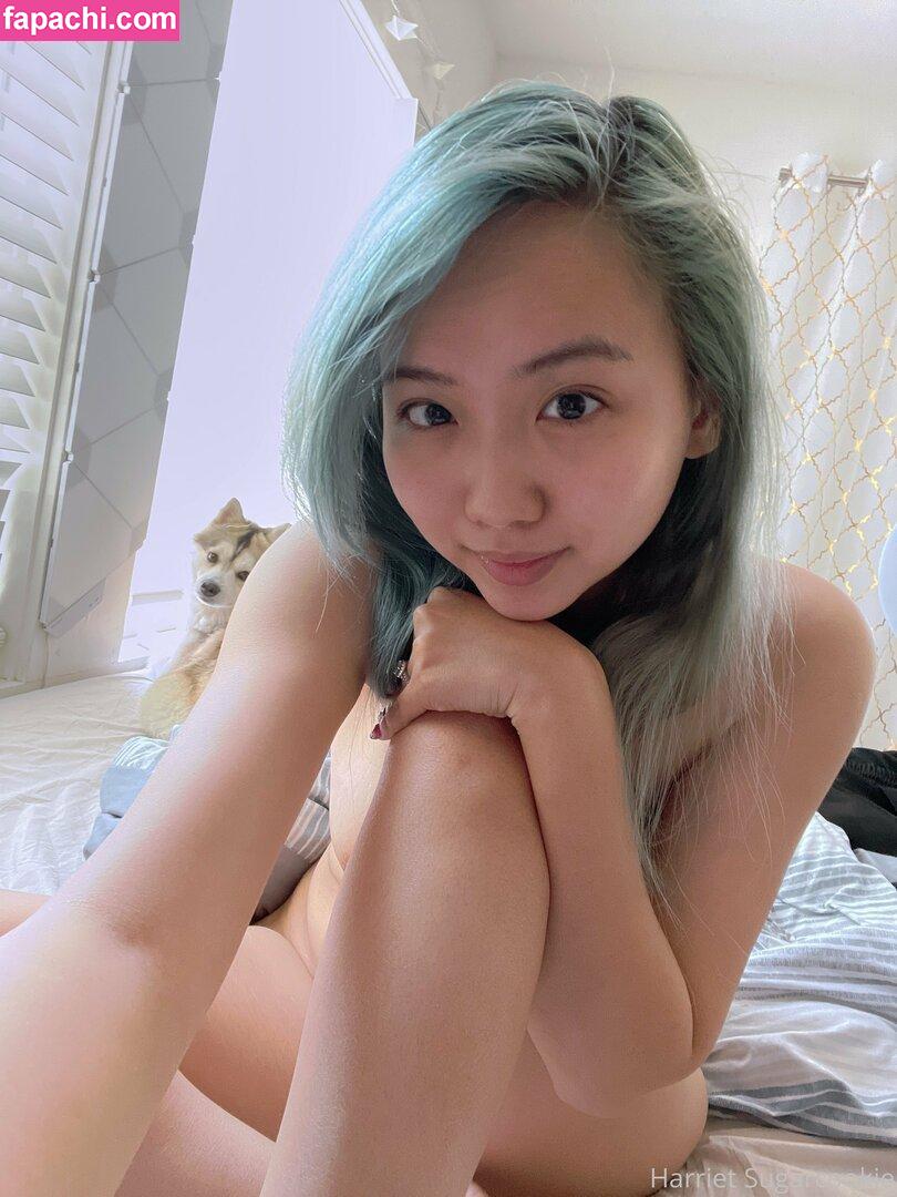 freesugarcookies leaked nude photo #0005 from OnlyFans/Patreon