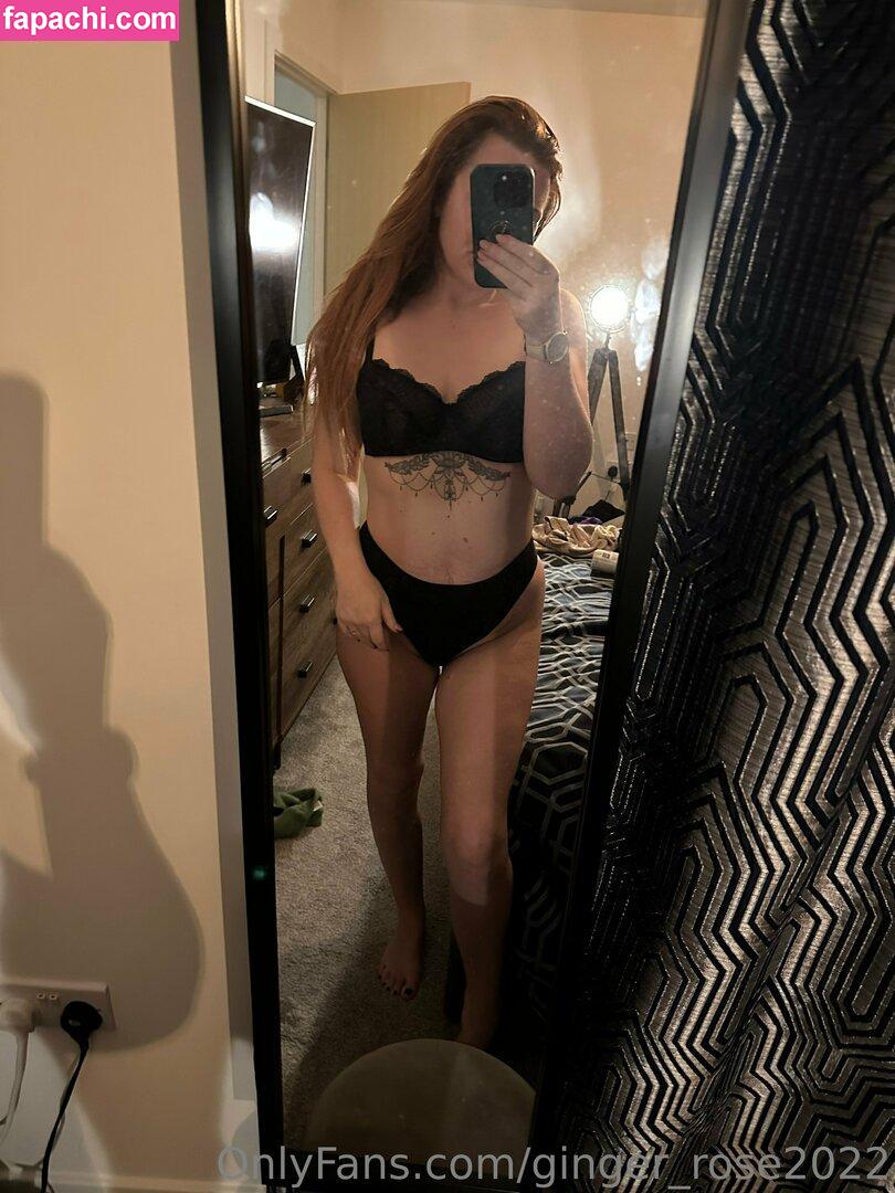 ginger_rose2022 leaked nude photo #0025 from OnlyFans/Patreon