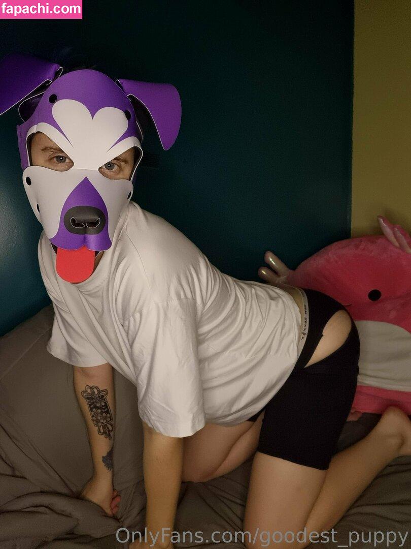 goodest_puppy leaked nude photo #0019 from OnlyFans/Patreon