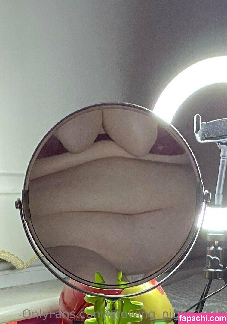 growing_piggy1305 / ar leaked nude photo #0084 from OnlyFans/Patreon