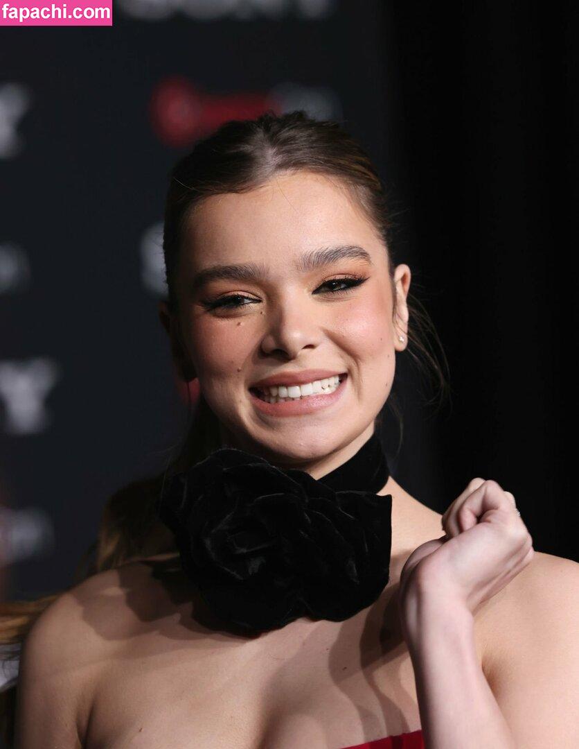 Hailee Steinfeld / haileesteinfeld leaked nude photo #0942 from OnlyFans/Patreon