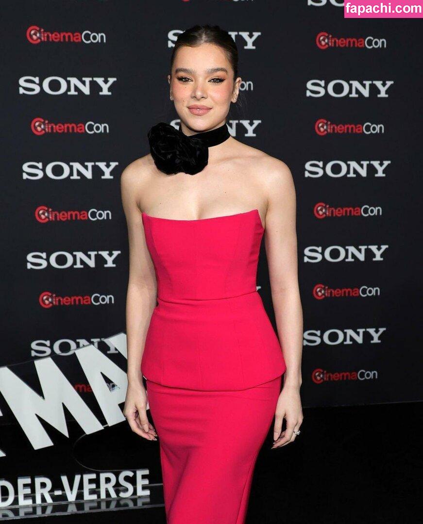 Hailee Steinfeld / haileesteinfeld leaked nude photo #0963 from OnlyFans/Patreon