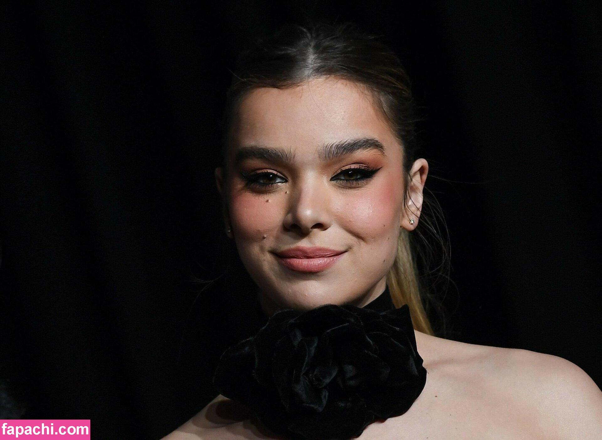 Hailee Steinfeld / haileesteinfeld leaked nude photo #0967 from OnlyFans/Patreon