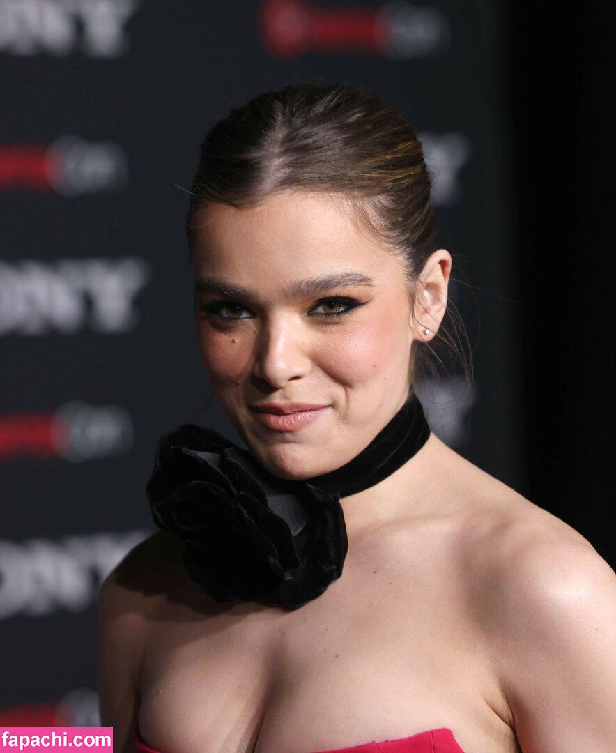 Hailee Steinfeld / haileesteinfeld leaked nude photo #0971 from OnlyFans/Patreon