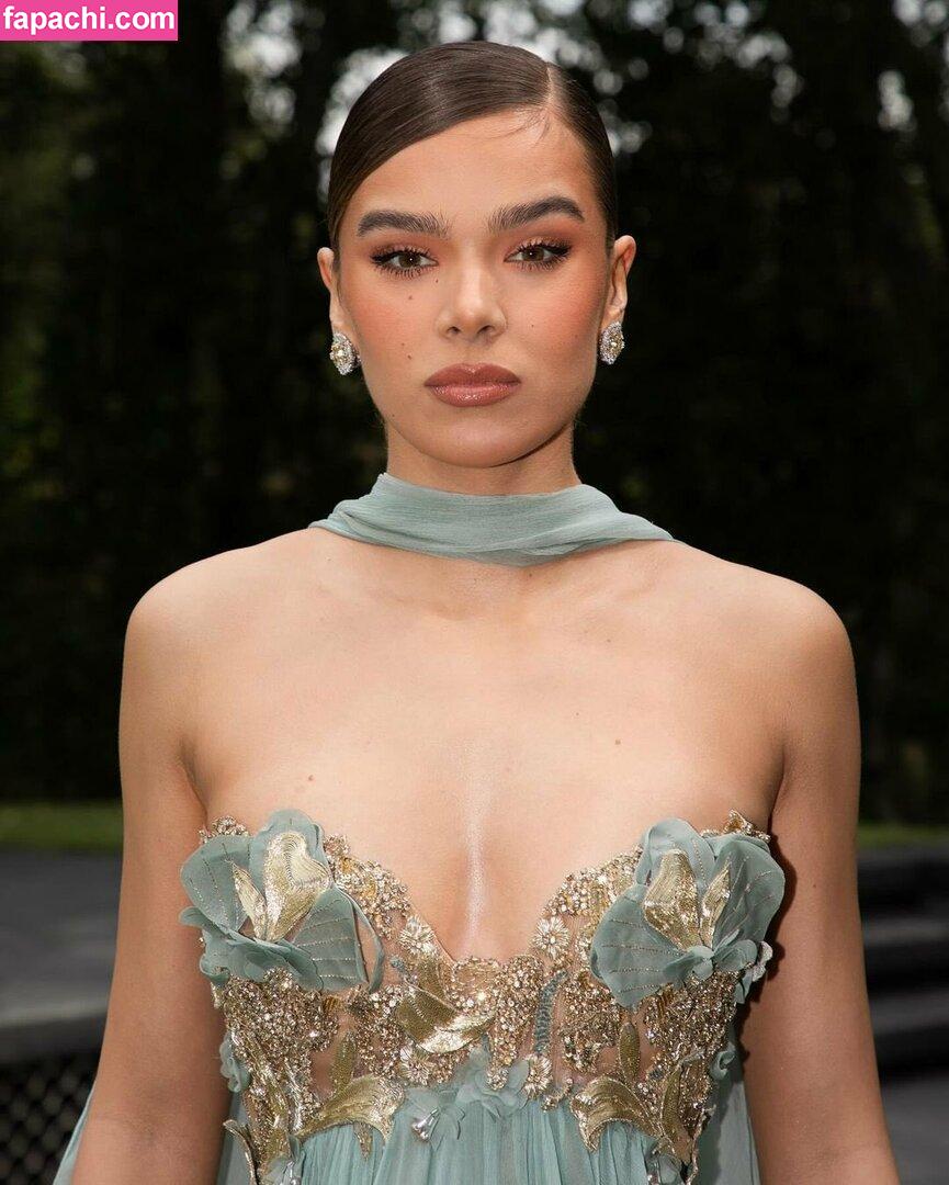 Hailee Steinfeld / haileesteinfeld leaked nude photo #1788 from OnlyFans/Patreon