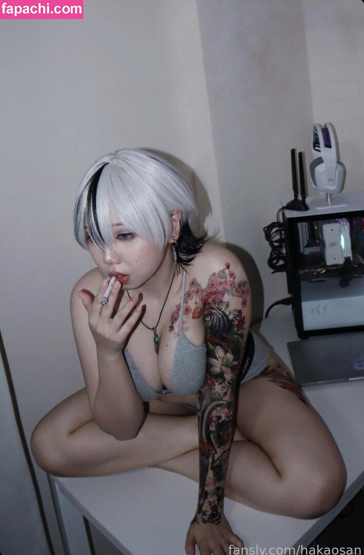 Hakaosan / hakkamee_soupfree leaked nude photo #0072 from OnlyFans/Patreon