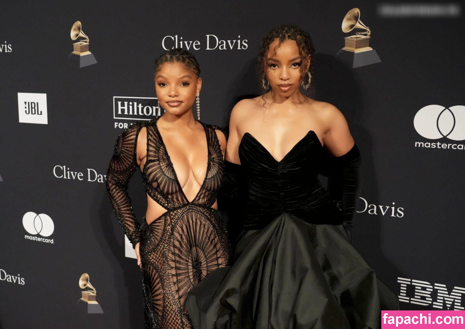 Halle Bailey / HalleBailey / Little Mermaid / chloebaileyyy leaked nude photo #0716 from OnlyFans/Patreon