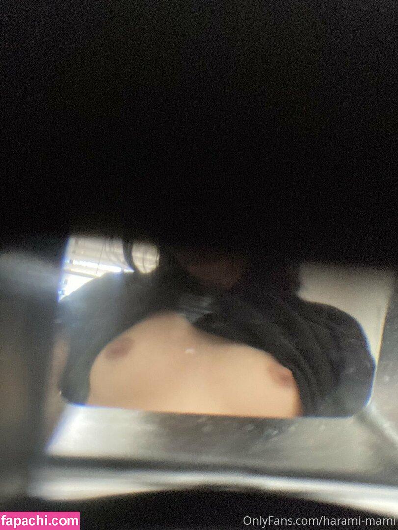 harami-mami / haramimami__ / sweet baby leaked nude photo #0033 from OnlyFans/Patreon