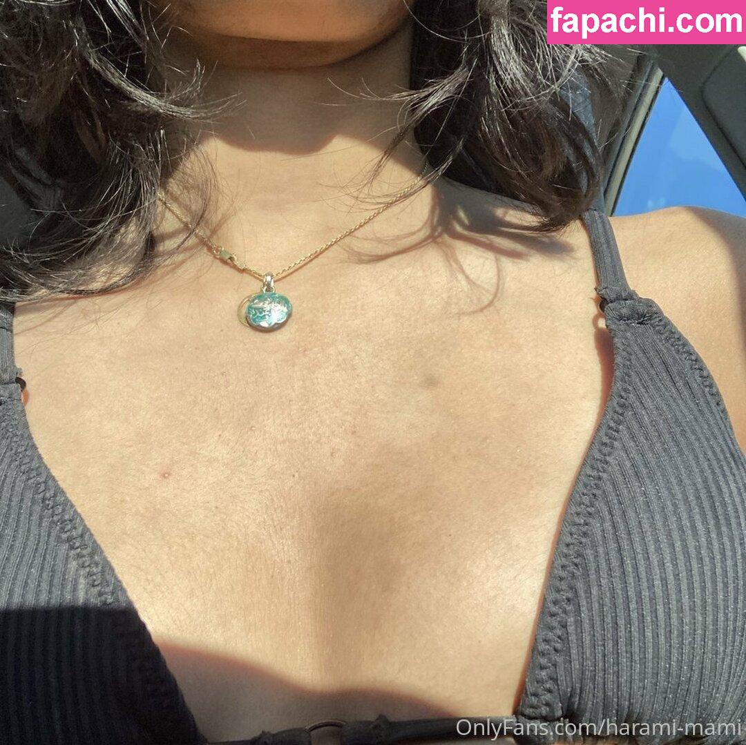 harami-mami / haramimami__ / sweet baby leaked nude photo #0038 from OnlyFans/Patreon