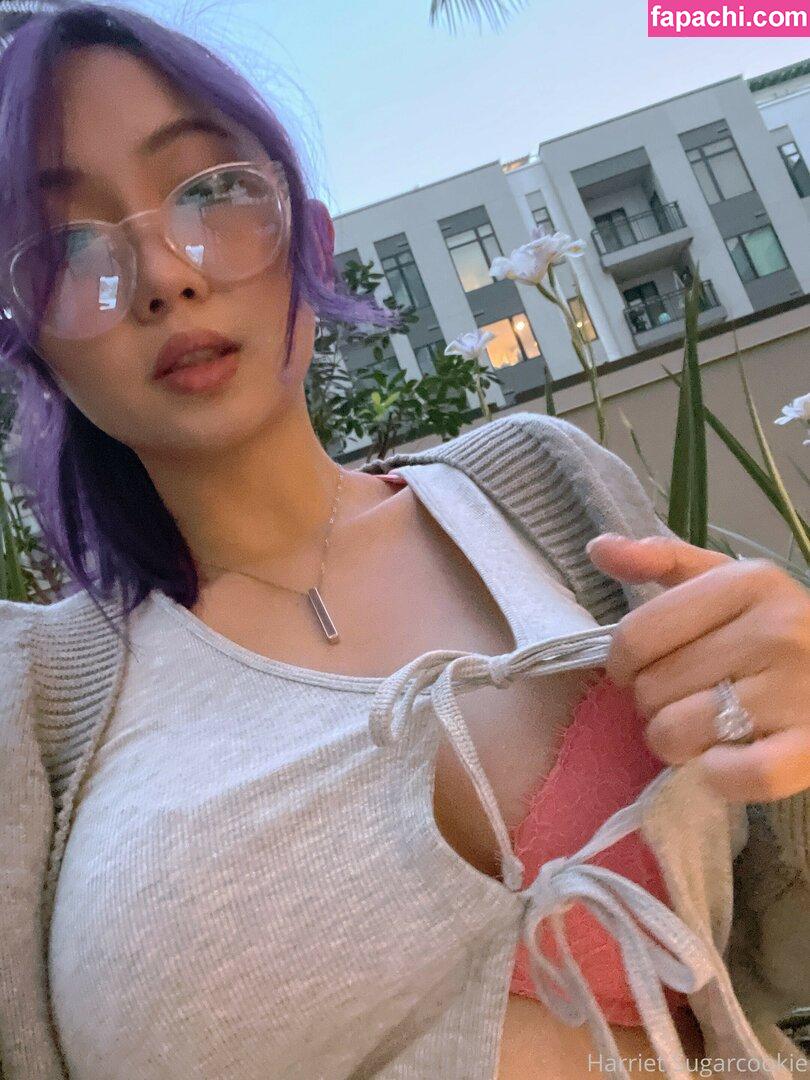 Harriet Sugarcookie / HSugarCookie / harrietsugarcookie / iamharrietsugarcookie leaked nude photo #0709 from OnlyFans/Patreon