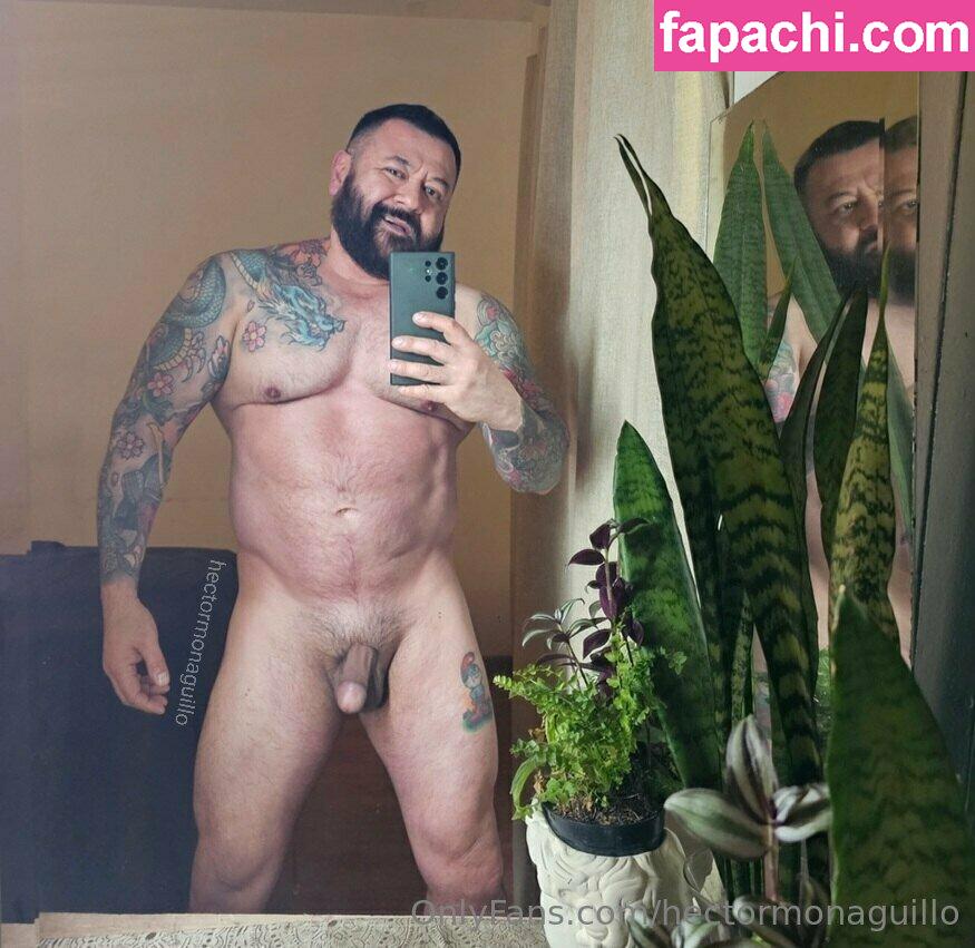 hectormonaguillo / h.monaguillo leaked nude photo #0002 from OnlyFans/Patreon