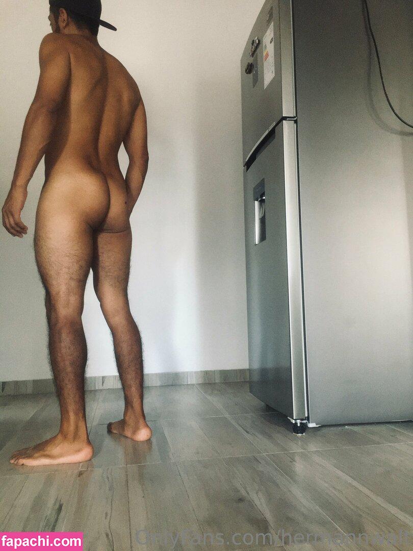 hermannwalt leaked nude photo #0009 from OnlyFans/Patreon