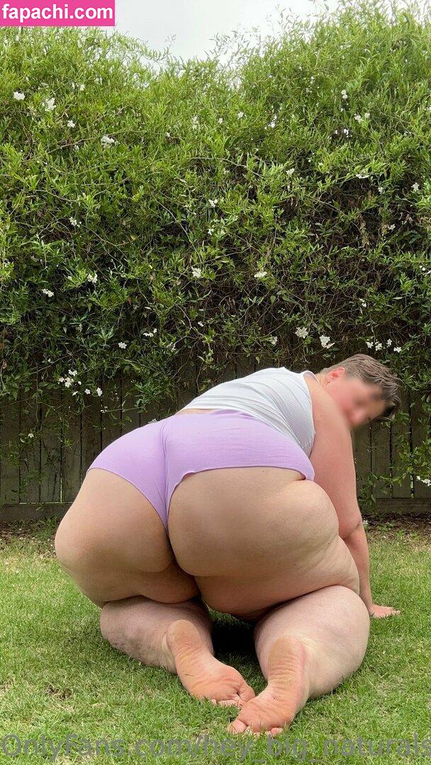 hey_big_naturals / thebackpackingblondie leaked nude photo #0002 from OnlyFans/Patreon