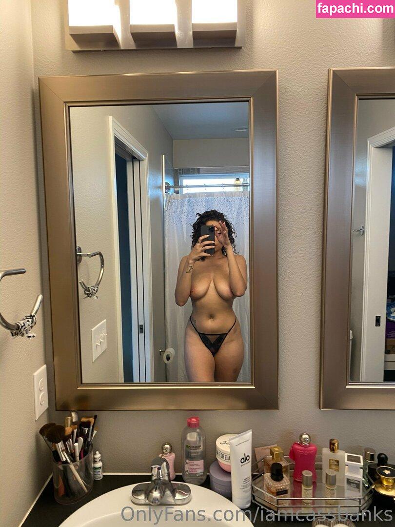 iamcassbanks leaked nude photo #0137 from OnlyFans/Patreon
