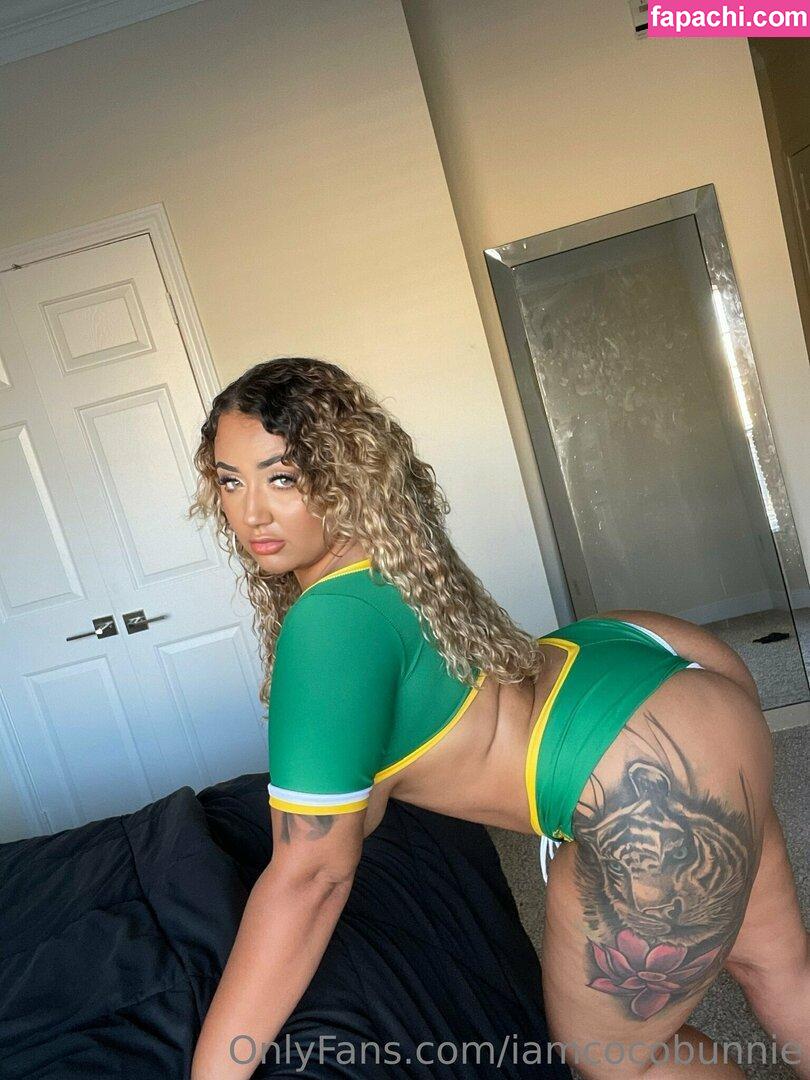iamcocobunnie / cocoobunnieofficial leaked nude photo #0077 from OnlyFans/Patreon