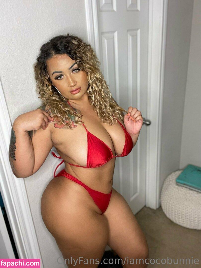 iamcocobunnie / cocoobunnieofficial leaked nude photo #0082 from OnlyFans/Patreon