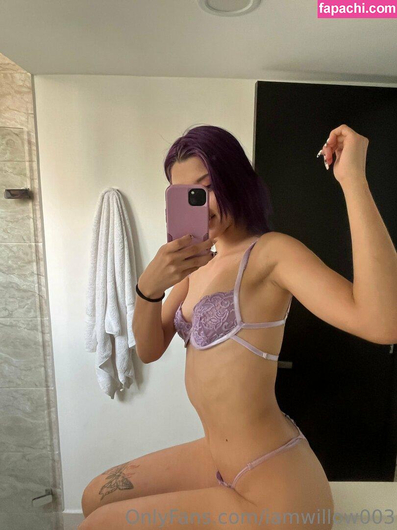 iamwillow003 / iamwillow._ leaked nude photo #0035 from OnlyFans/Patreon