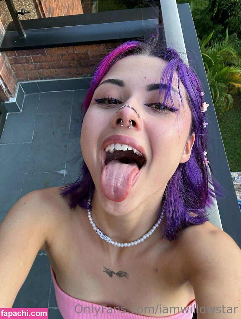 iamwillowstar / iamwillow003 / iamwillowstarr / willo00w / willowstar___ leaked nude photo #0057 from OnlyFans/Patreon