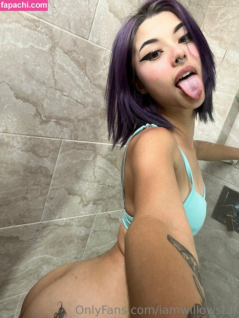 iamwillowstar / iamwillow003 / iamwillowstarr / willo00w / willowstar___ leaked nude photo #0078 from OnlyFans/Patreon