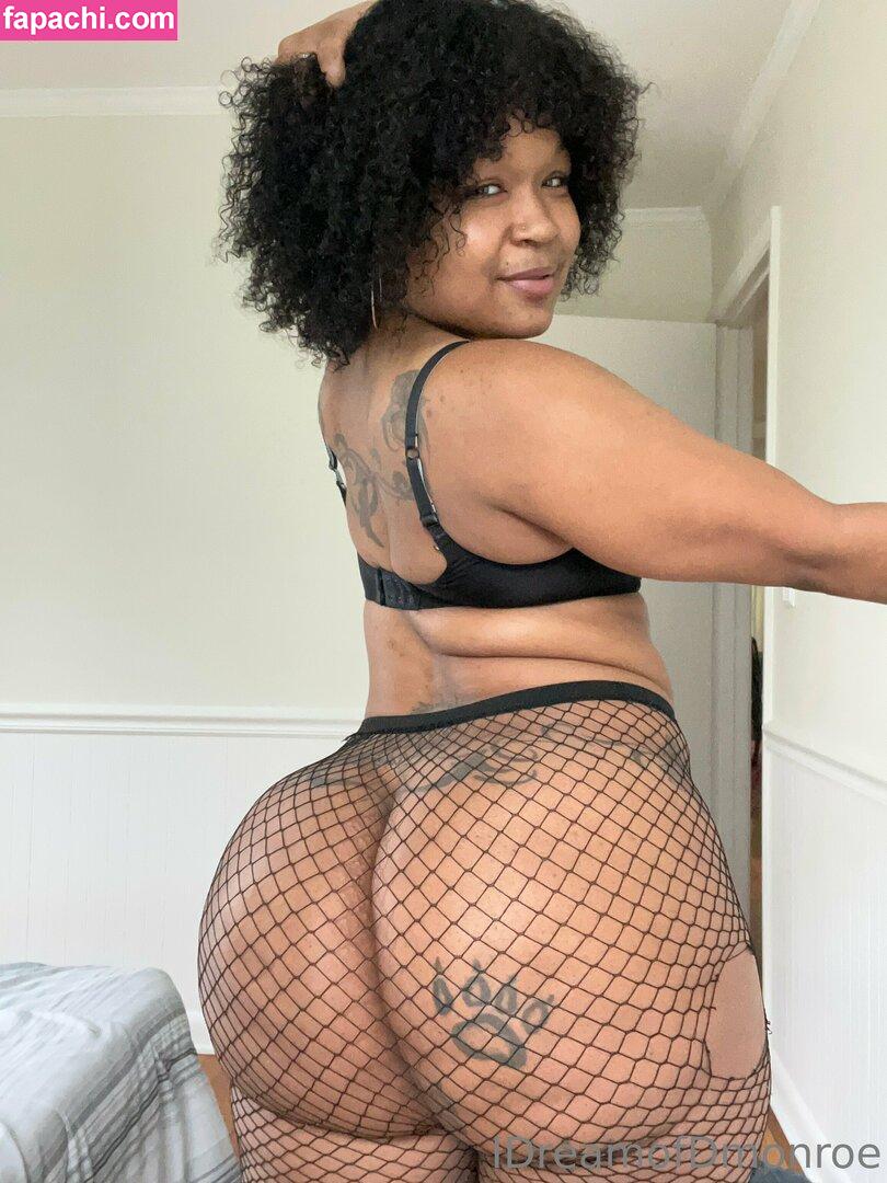 idreamofdmonroe leaked nude photo #0019 from OnlyFans/Patreon