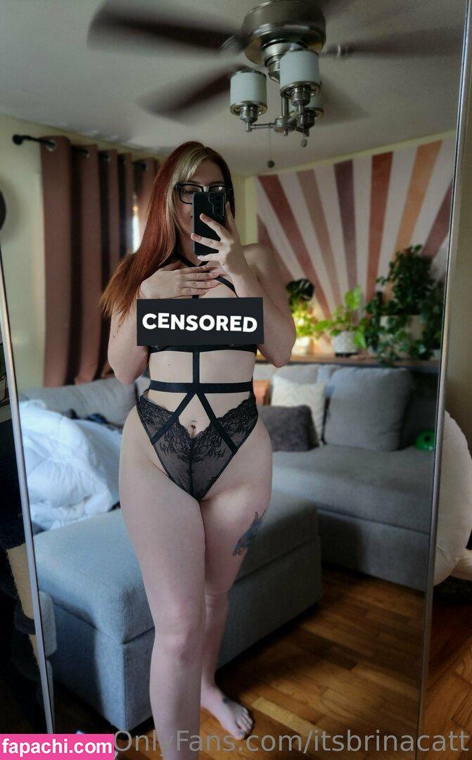 itsbrinacatt / itsbrinacat leaked nude photo #0015 from OnlyFans/Patreon