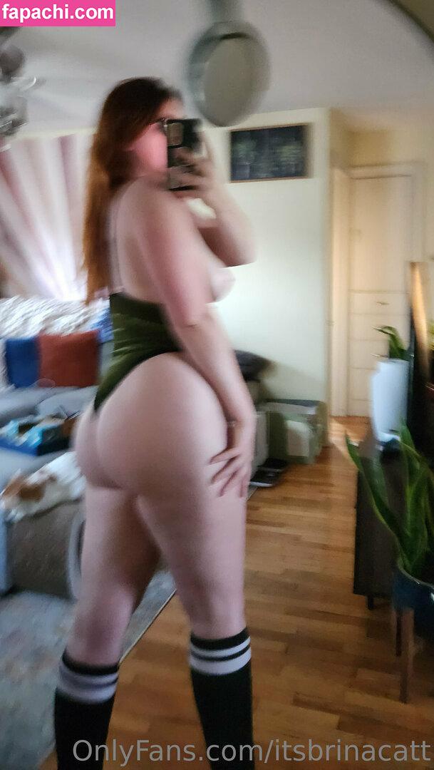itsbrinacatt / itsbrinacat leaked nude photo #0040 from OnlyFans/Patreon