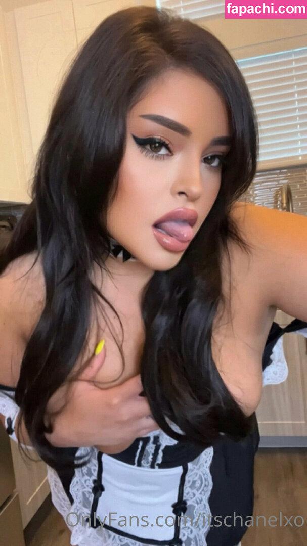 itschanelxo / itschelseaxo_ leaked nude photo #0082 from OnlyFans/Patreon