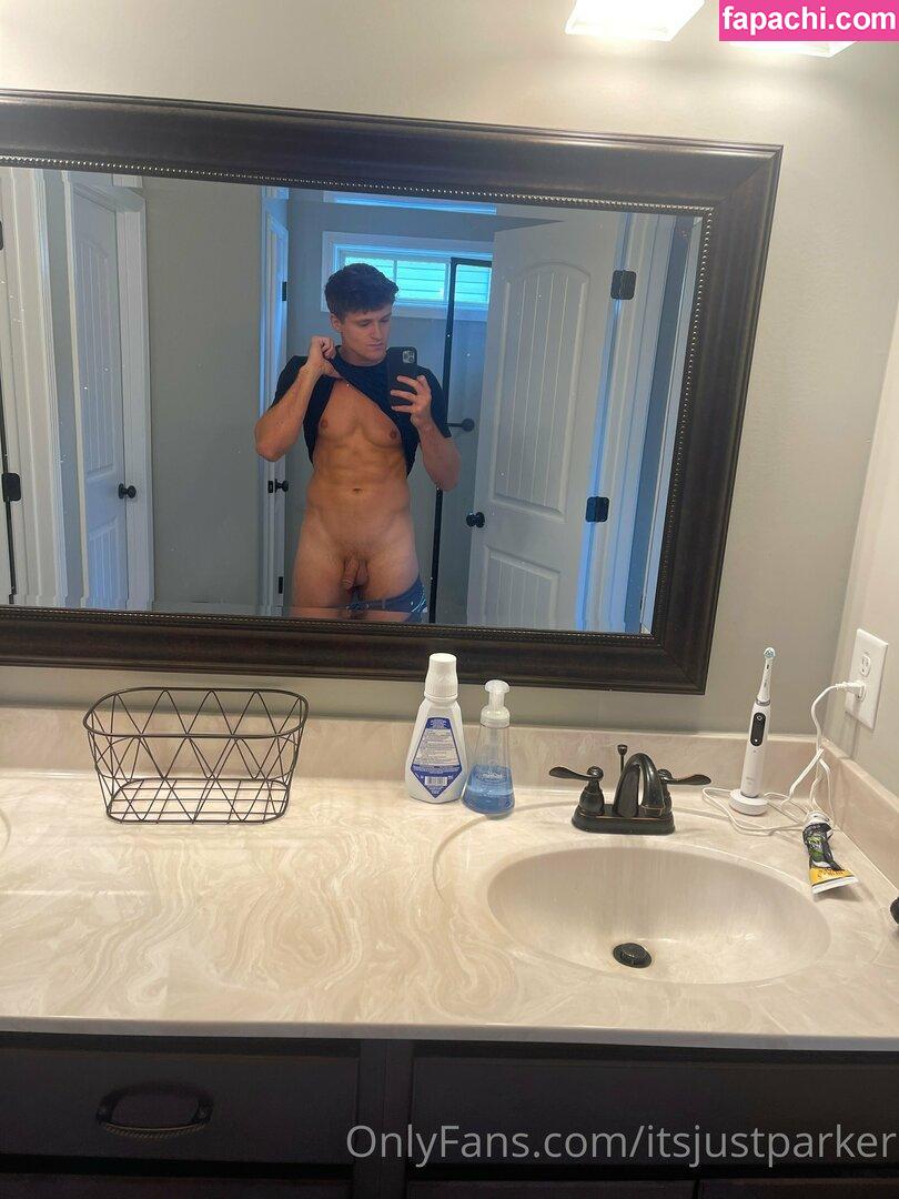 itsjustparker leaked nude photo #0072 from OnlyFans/Patreon