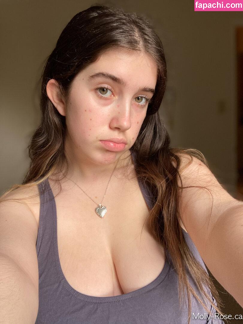 itsmollyyyrose_again / Molly Barkasy / Molly Rose / moremolly leaked nude photo #0214 from OnlyFans/Patreon