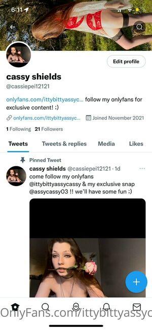 ittybittyassycassy leaked media #0006