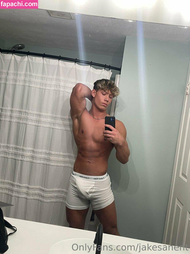 jakesanent / jakesan25 leaked nude photo #0001 from OnlyFans/Patreon