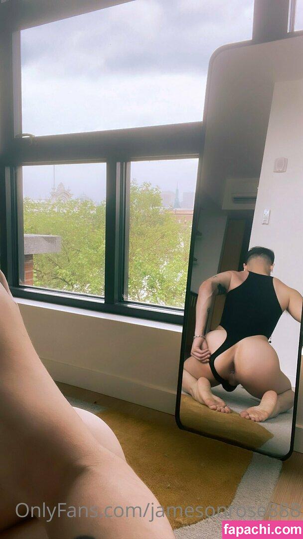 jamesonrose888 / foolandmagician leaked nude photo #0048 from OnlyFans/Patreon