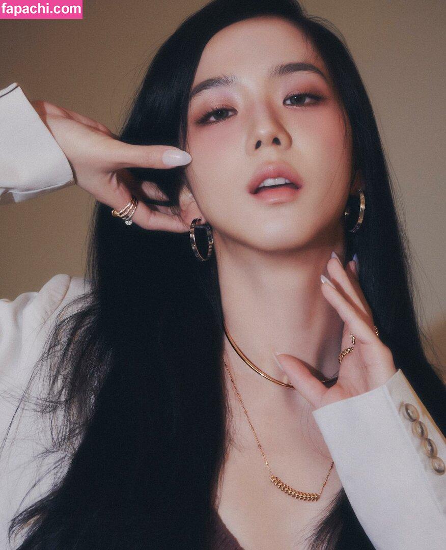 Jisoo / BLACKPINK / qenshizu / sooyaaa__ leaked nude photo #0395 from OnlyFans/Patreon