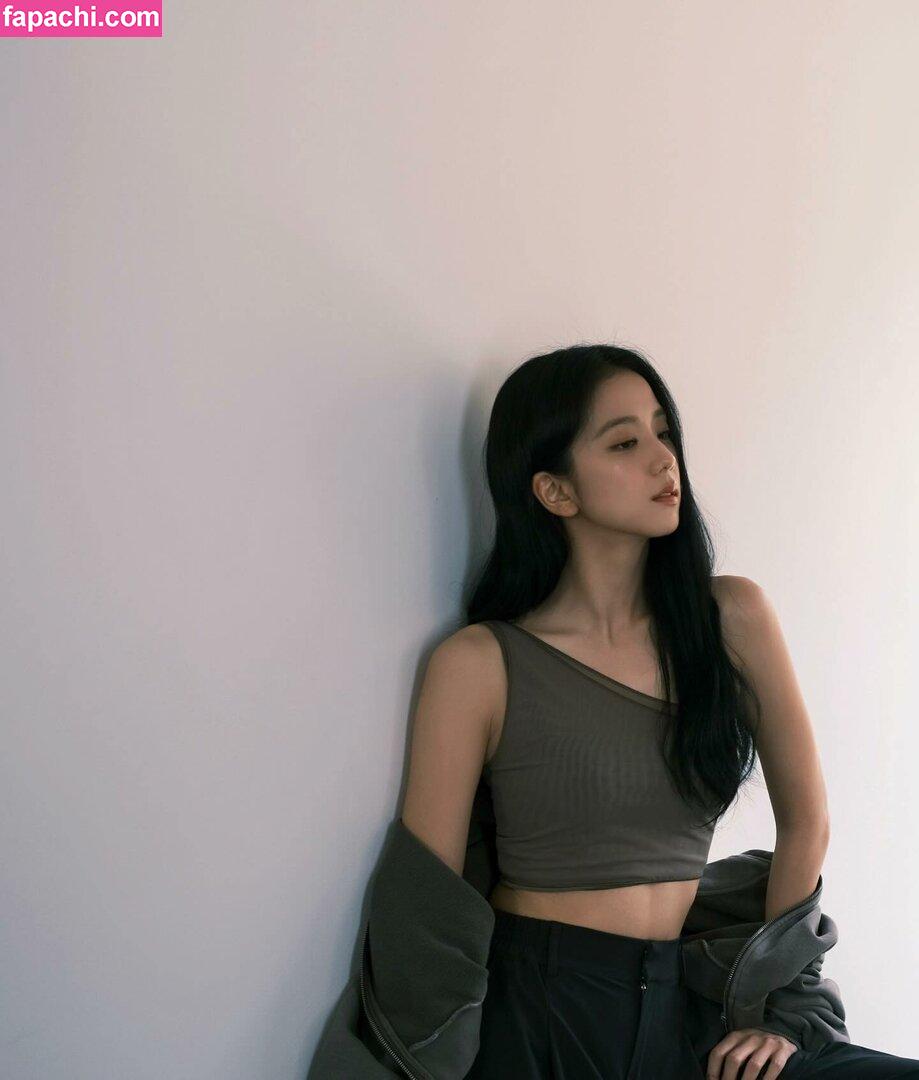 Jisoo / BLACKPINK / qenshizu / sooyaaa__ leaked nude photo #0486 from OnlyFans/Patreon