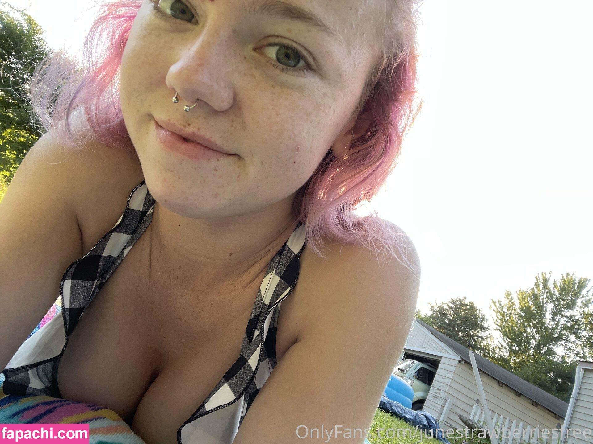 junestrawberriesfree leaked nude photo #0046 from OnlyFans/Patreon