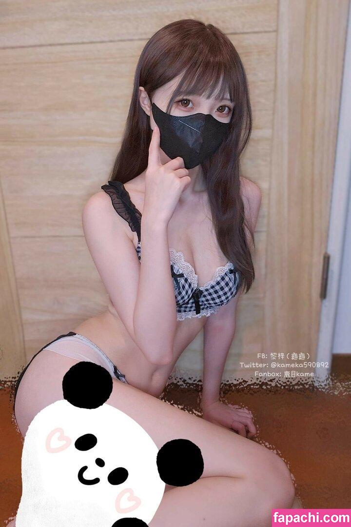 Kameka590892 / kameka25217 / 黎梓 / 龜龜 leaked nude photo #0037 from OnlyFans/Patreon