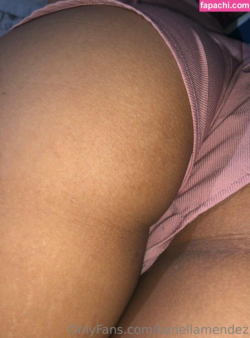 kanellamendez / soykanela_ leaked nude photo #0006 from OnlyFans/Patreon