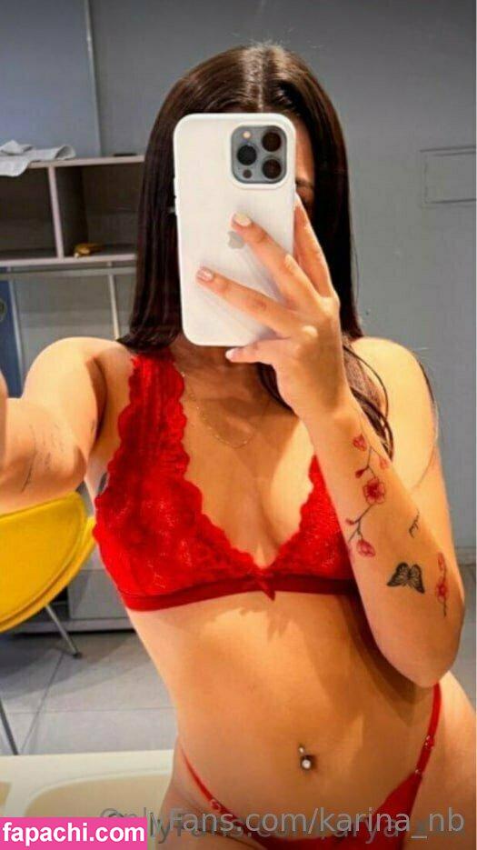 karina_nb / pikarina leaked nude photo #0043 from OnlyFans/Patreon