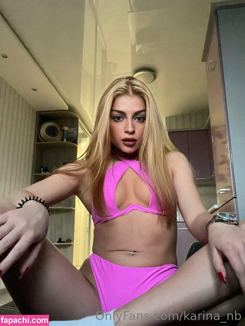 karina_nb / pikarina leaked nude photo #0046 from OnlyFans/Patreon