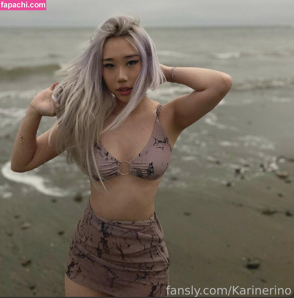 Karinerino leaked nude photo #0062 from OnlyFans/Patreon