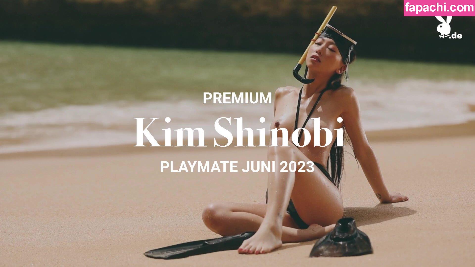 Kim Shinobi / shinobirvs leaked nude photo #0007 from OnlyFans/Patreon