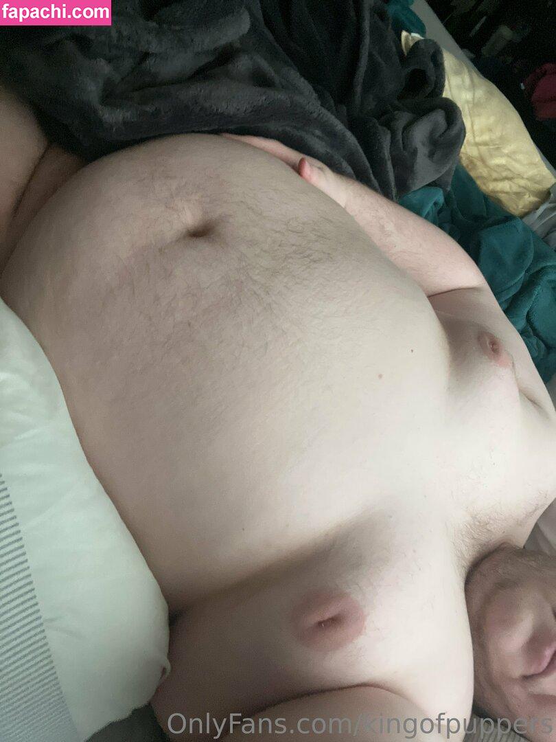 kingofpuppers / nickdagostino leaked nude photo #0083 from OnlyFans/Patreon