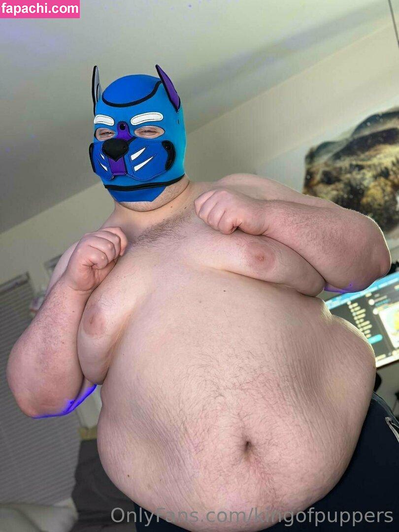 kingofpuppers / nickdagostino leaked nude photo #0092 from OnlyFans/Patreon
