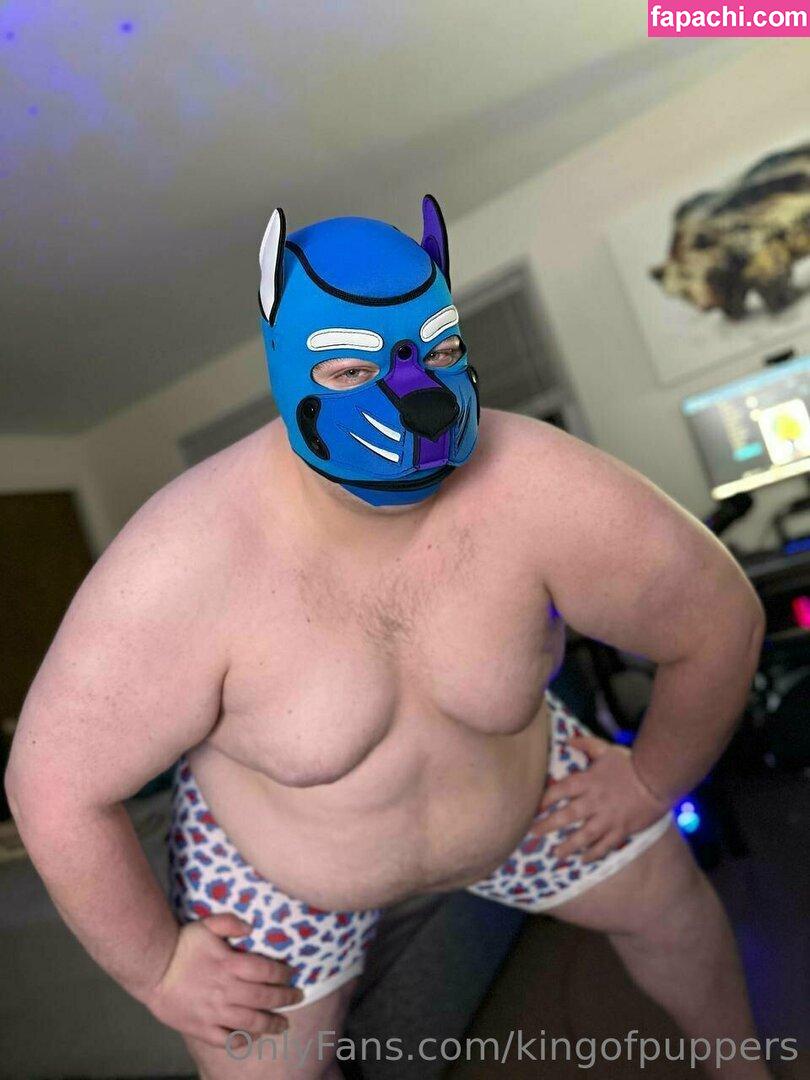 kingofpuppers / nickdagostino leaked nude photo #0107 from OnlyFans/Patreon