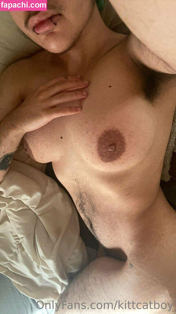 kittcatboy / certifiedcatboykit leaked nude photo #0033 from OnlyFans/Patreon