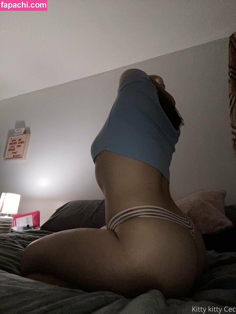 kittyscalling leaked nude photo #0087 from OnlyFans/Patreon