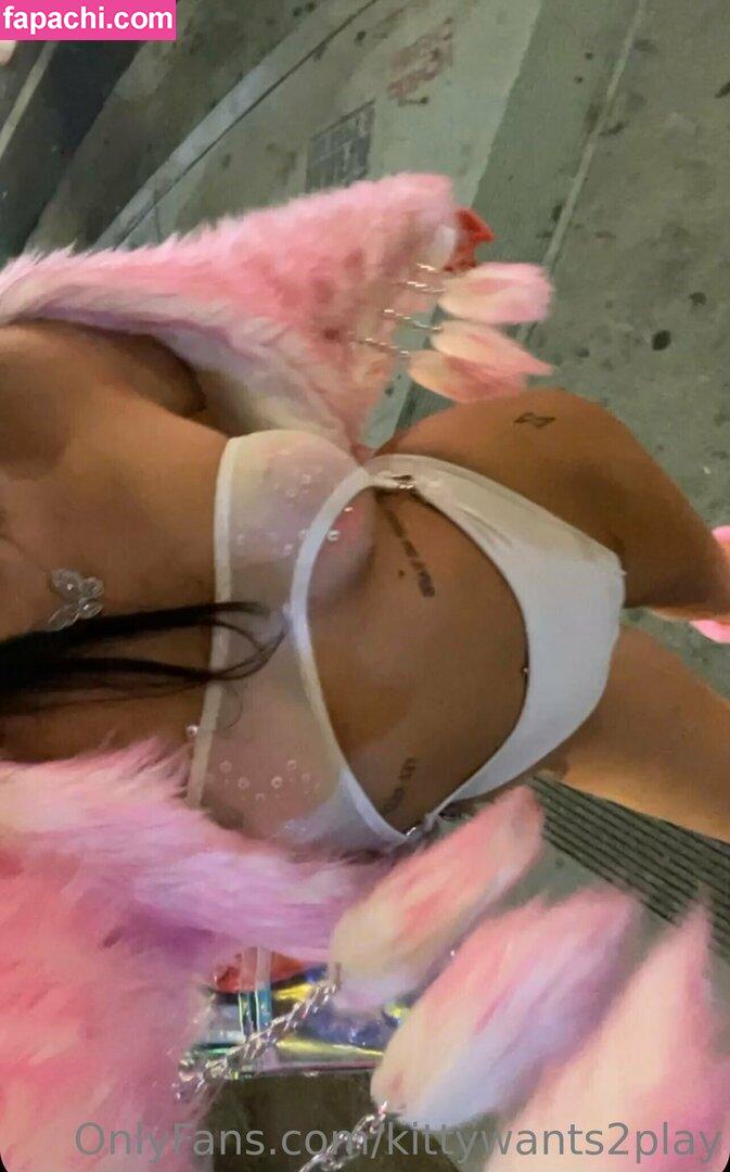 kittywants2play leaked nude photo #0005 from OnlyFans/Patreon