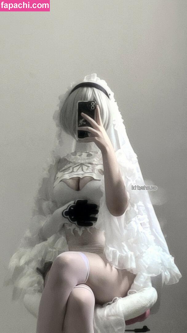 kitycoss / kitycosplay / kityshouko / shelbyevil leaked nude photo #0014 from OnlyFans/Patreon