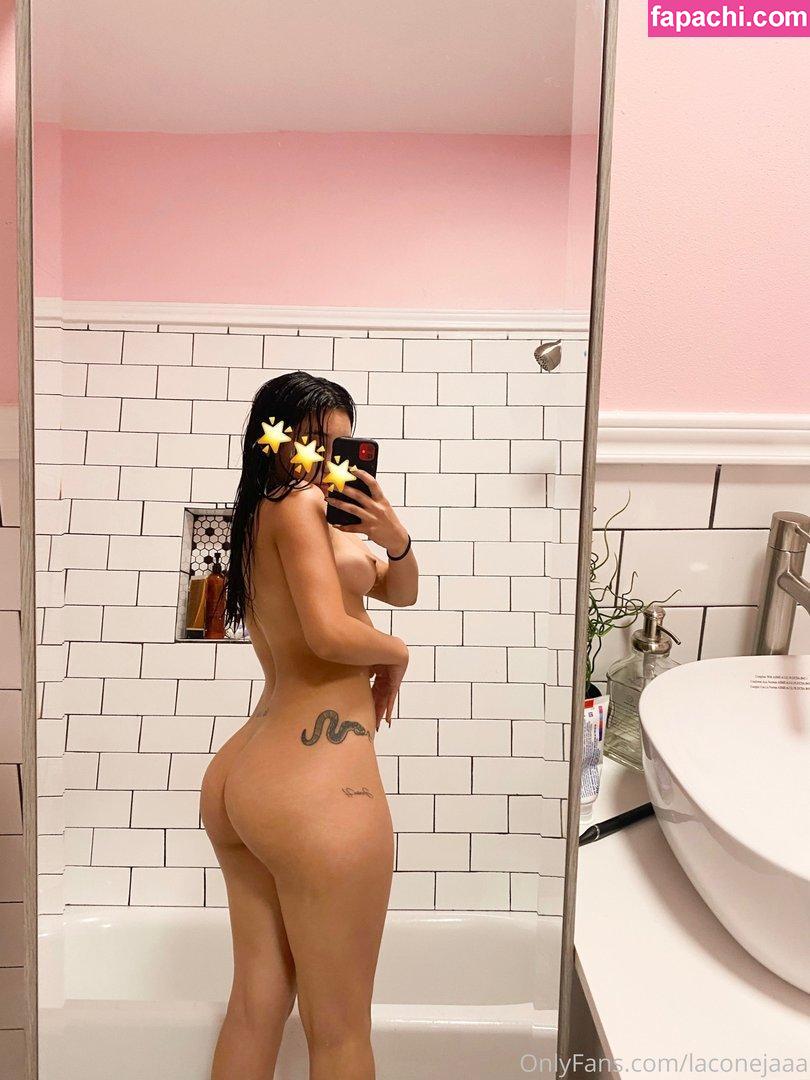 laconejaaa / yamillca leaked nude photo #0010 from OnlyFans/Patreon